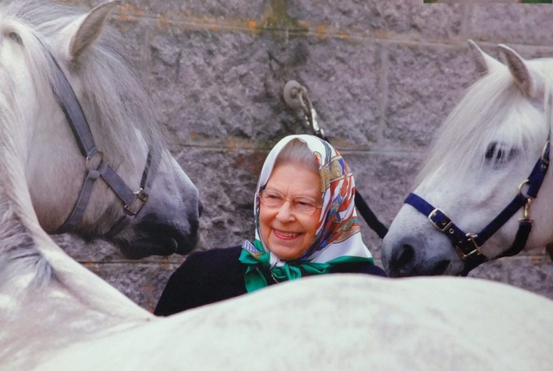 Королева устроила конную прогулку