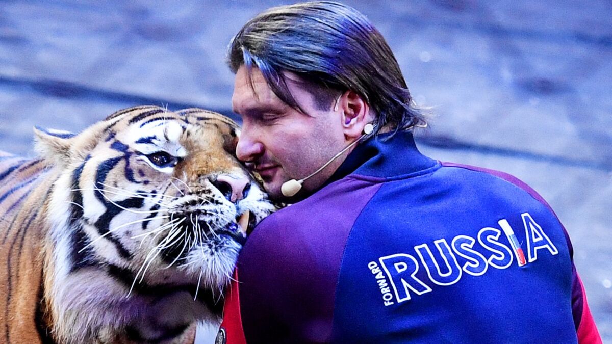 Новогодние Запашные Новогодние Запашные